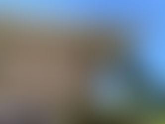 Exterior Installation, Miami 