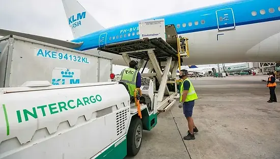 El Gobierno oficializó la privatización de Intercargo