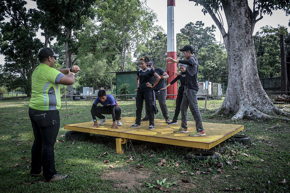 Low Element - Whale Watch