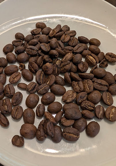 WhatsApp Image 2026-02-05 at 14.33.15 (2).jpeg