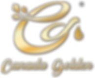 LOGO(R标).png