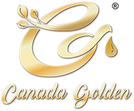 LOGO(R标).png