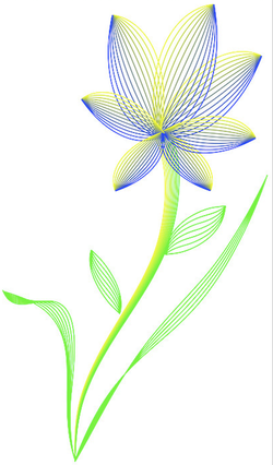 Flower Illustrator
