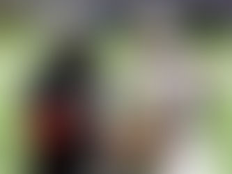 Falcons Get Fresh Start with Morris