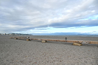 NZ9_7867_edited.jpg