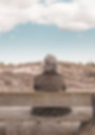 Man Sitting on a Bench