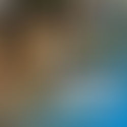 High Performance Summer Camp