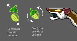 shot_nut