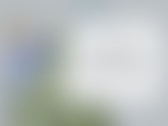 Why You Should Take My Christmas Decorating Course (Hint: It’ll Pay for Itself!)