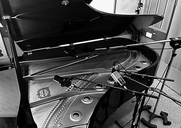 IPPE-13 - Piano Microphone Close-up 3_edited.jpg