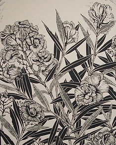WPS__0071_Myers_S Oleander.JPG.jpg