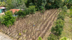 Fantástico lote en las Juntas de Pacuar