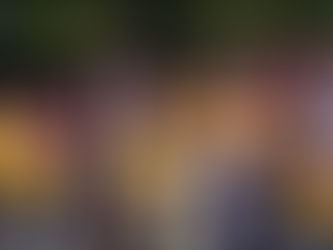 Bilan Activités 2017 tout frais tout beau