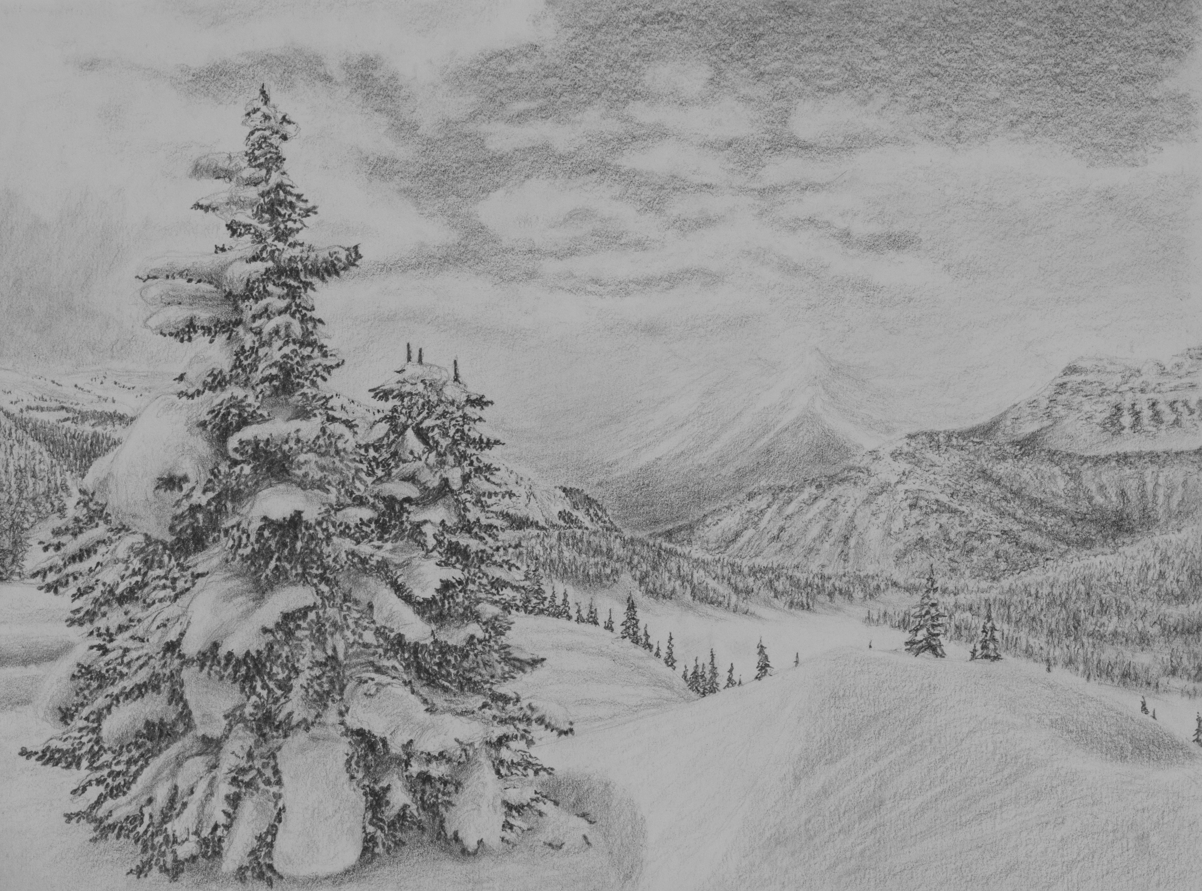 Sunshine Meadows
