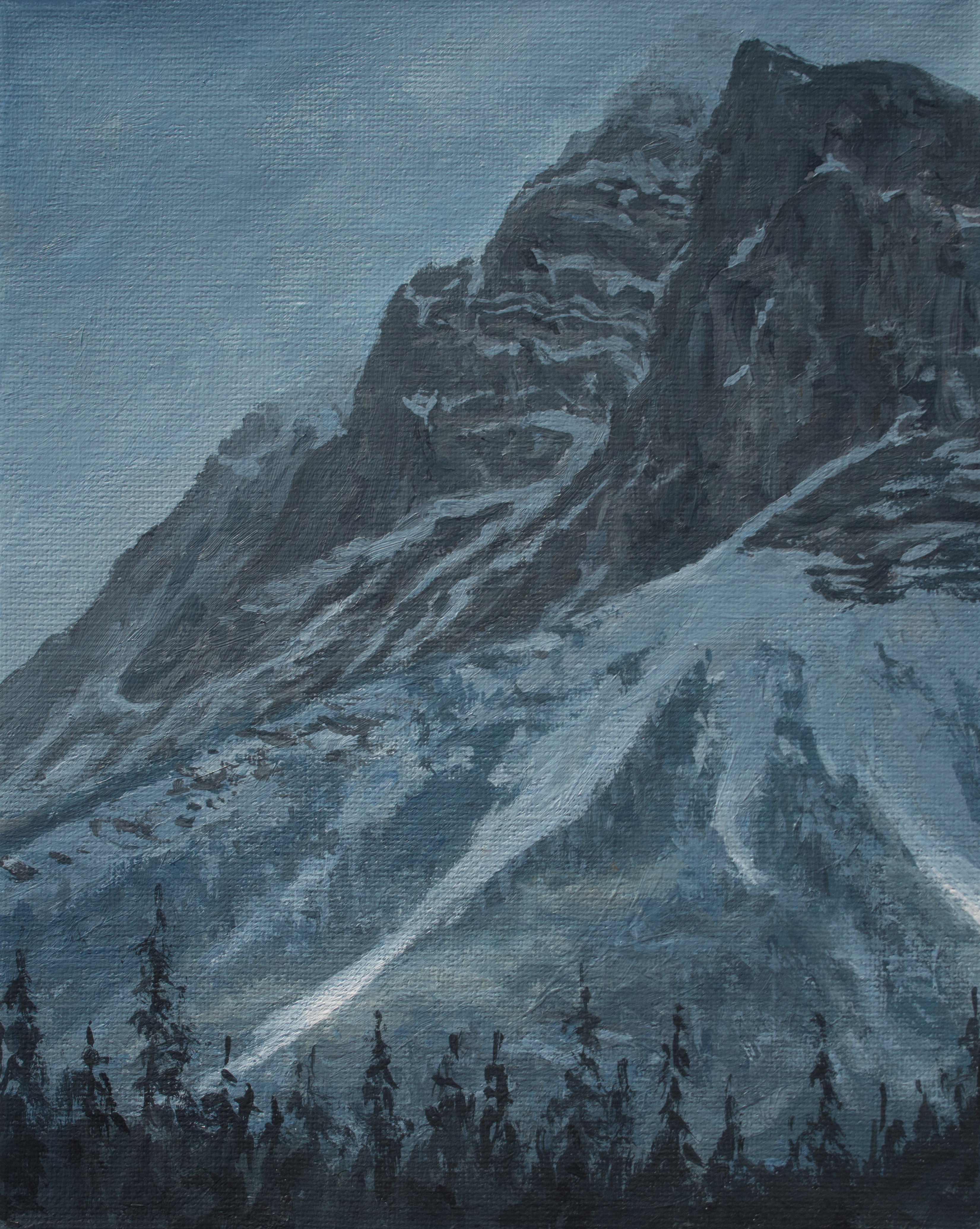 The Vice President Avalanche Chutes