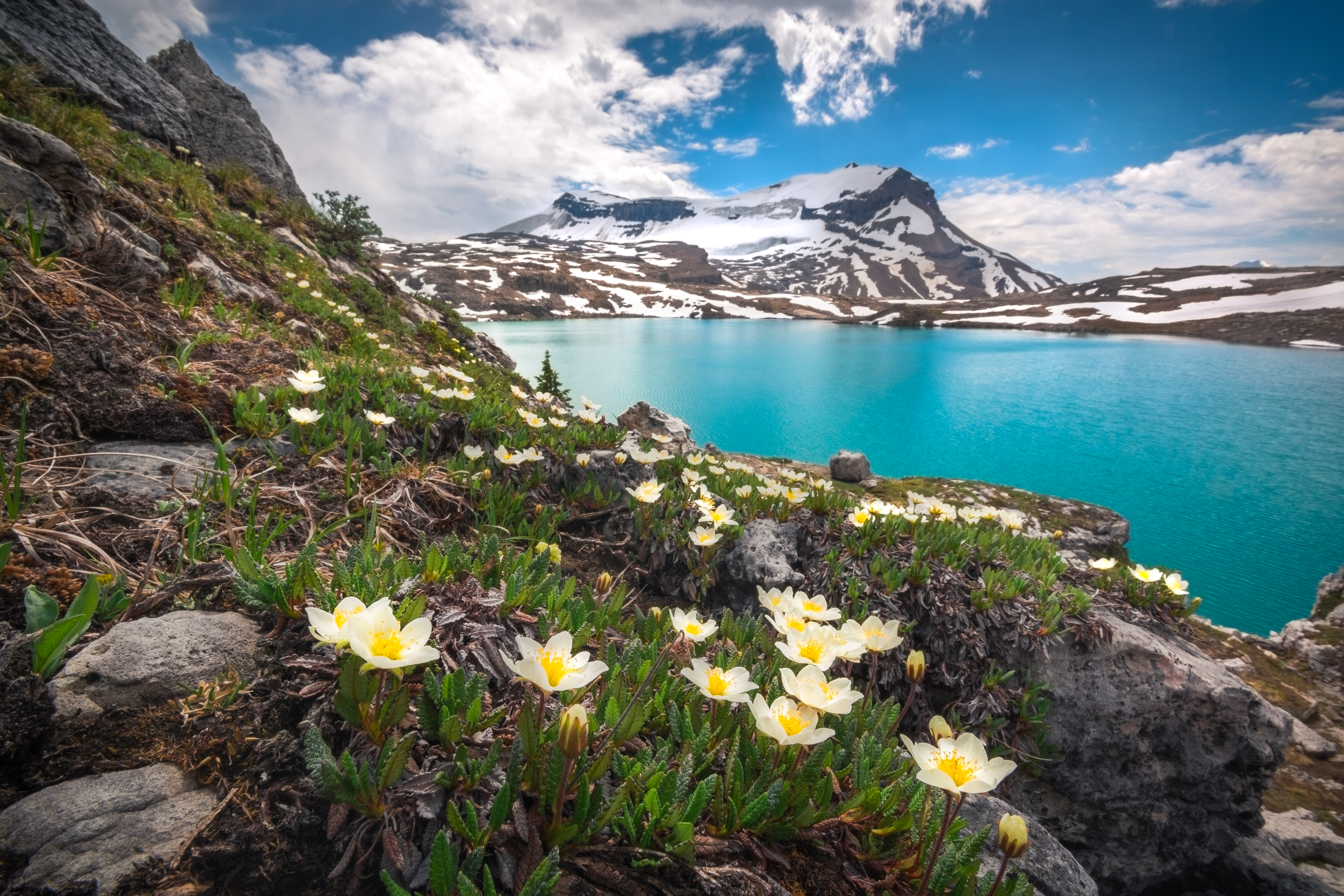 Turquoise Highland