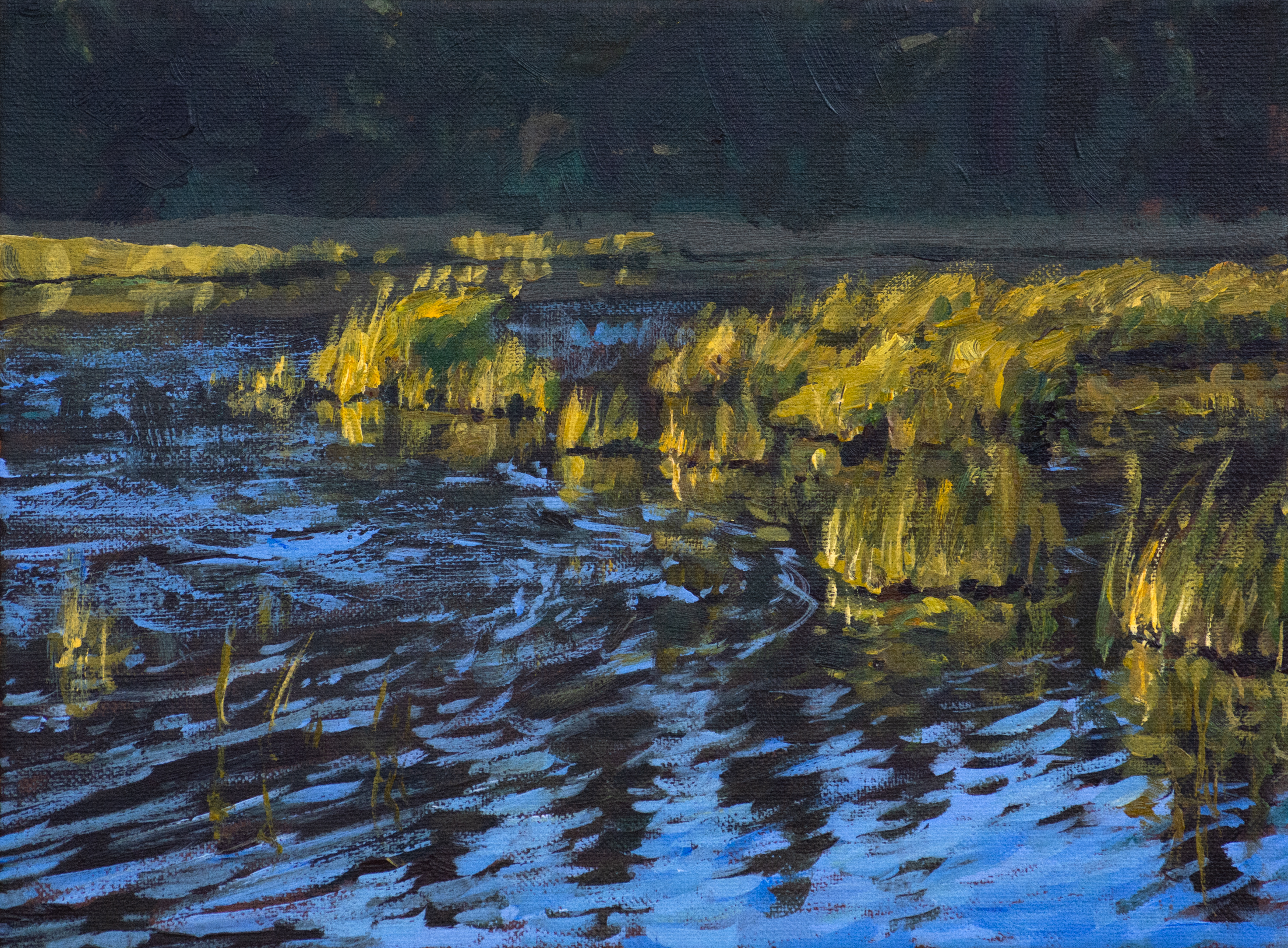 Glowing Marshland