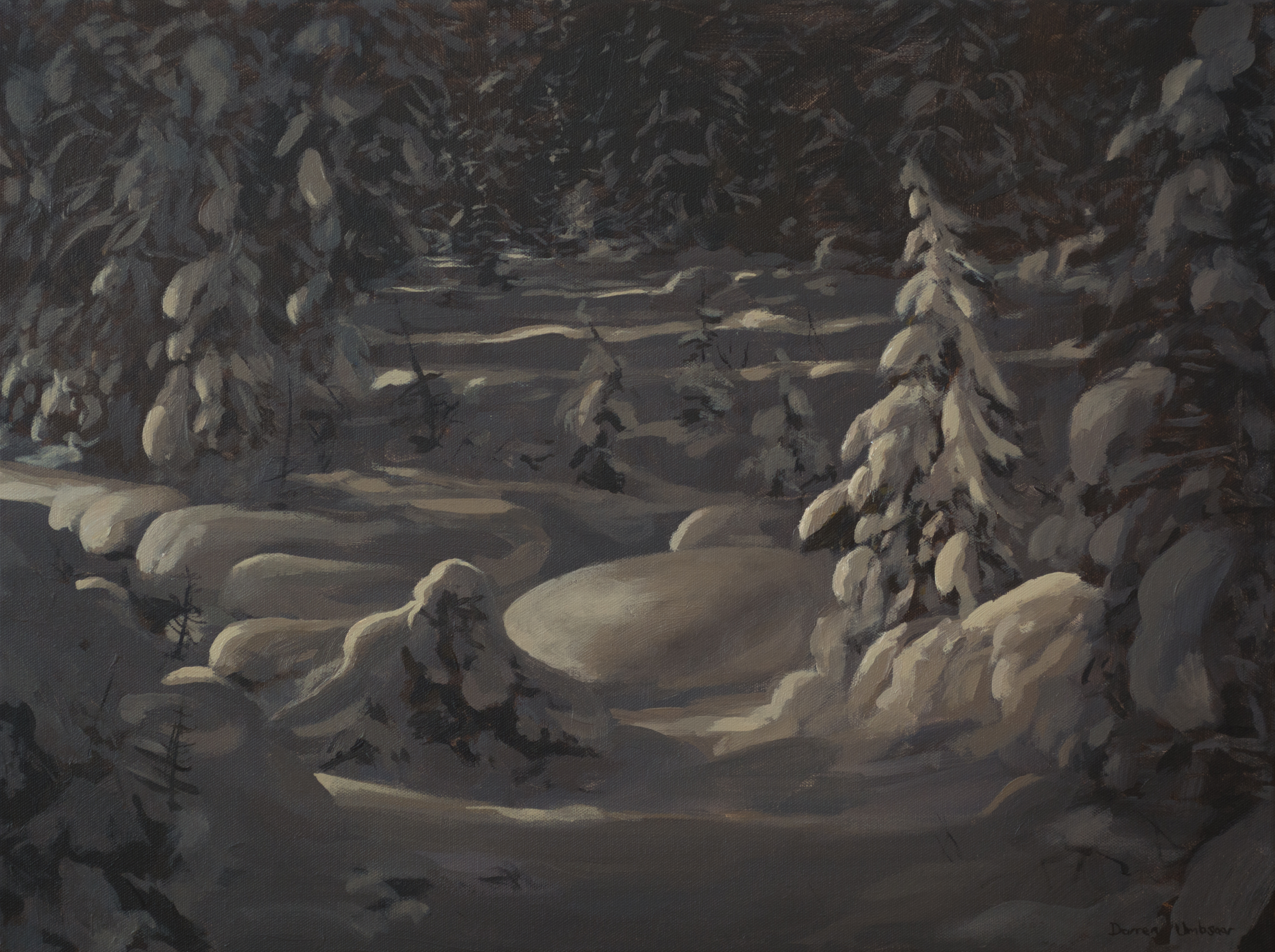 Secret Woodland