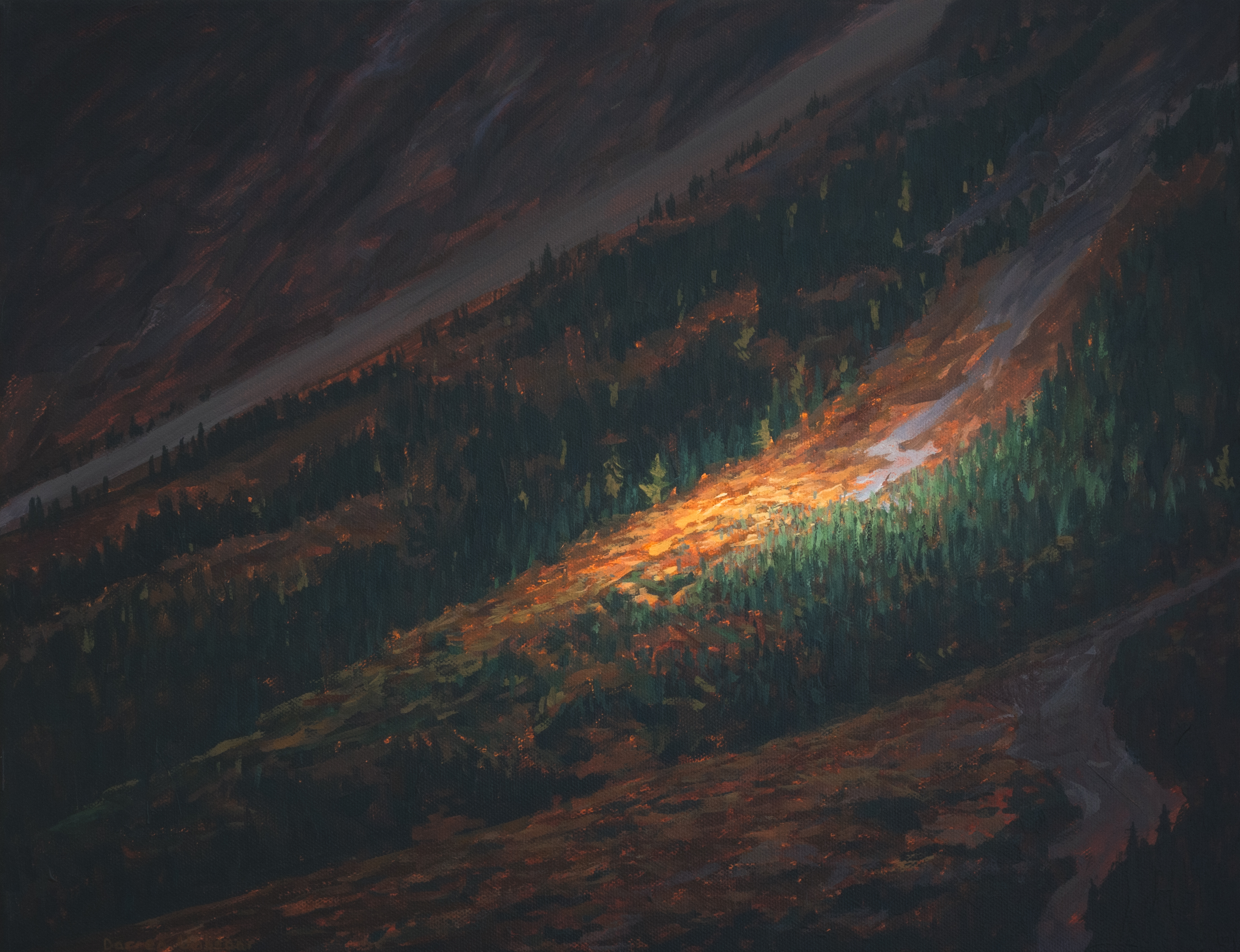 Spotlight