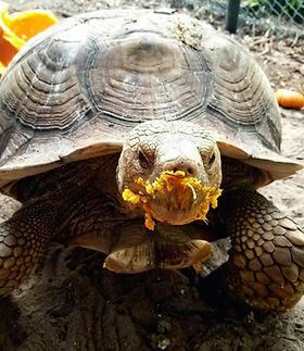 20201220_143924_edited.jpg