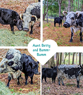 Betty and Bamm-Bamm.png