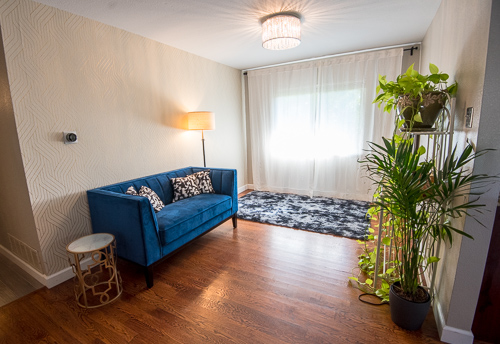 room with blue sofa and plants