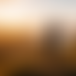 Vad många missar om livförsäkring och trygghet