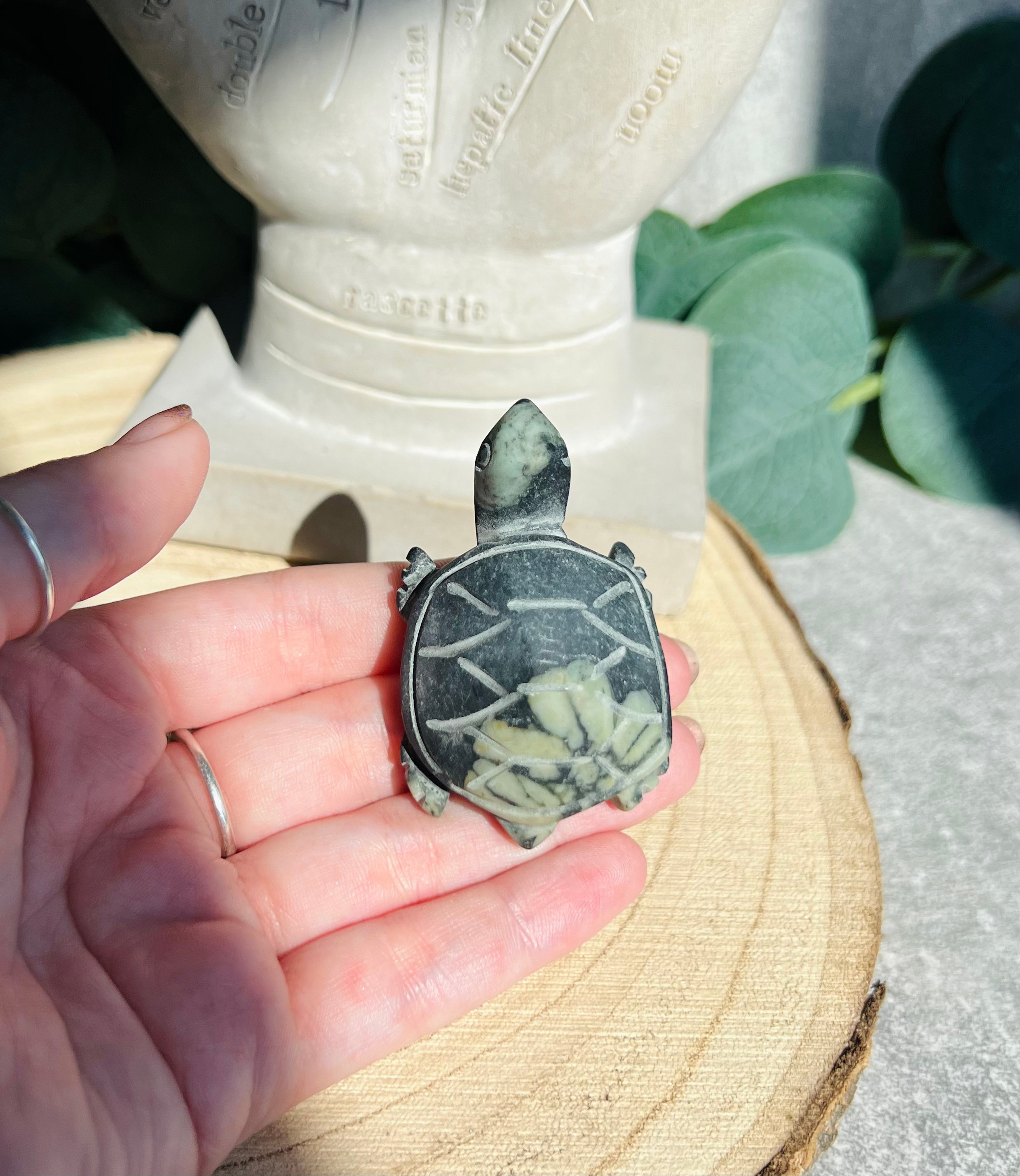 Peony Jasper Turtle
