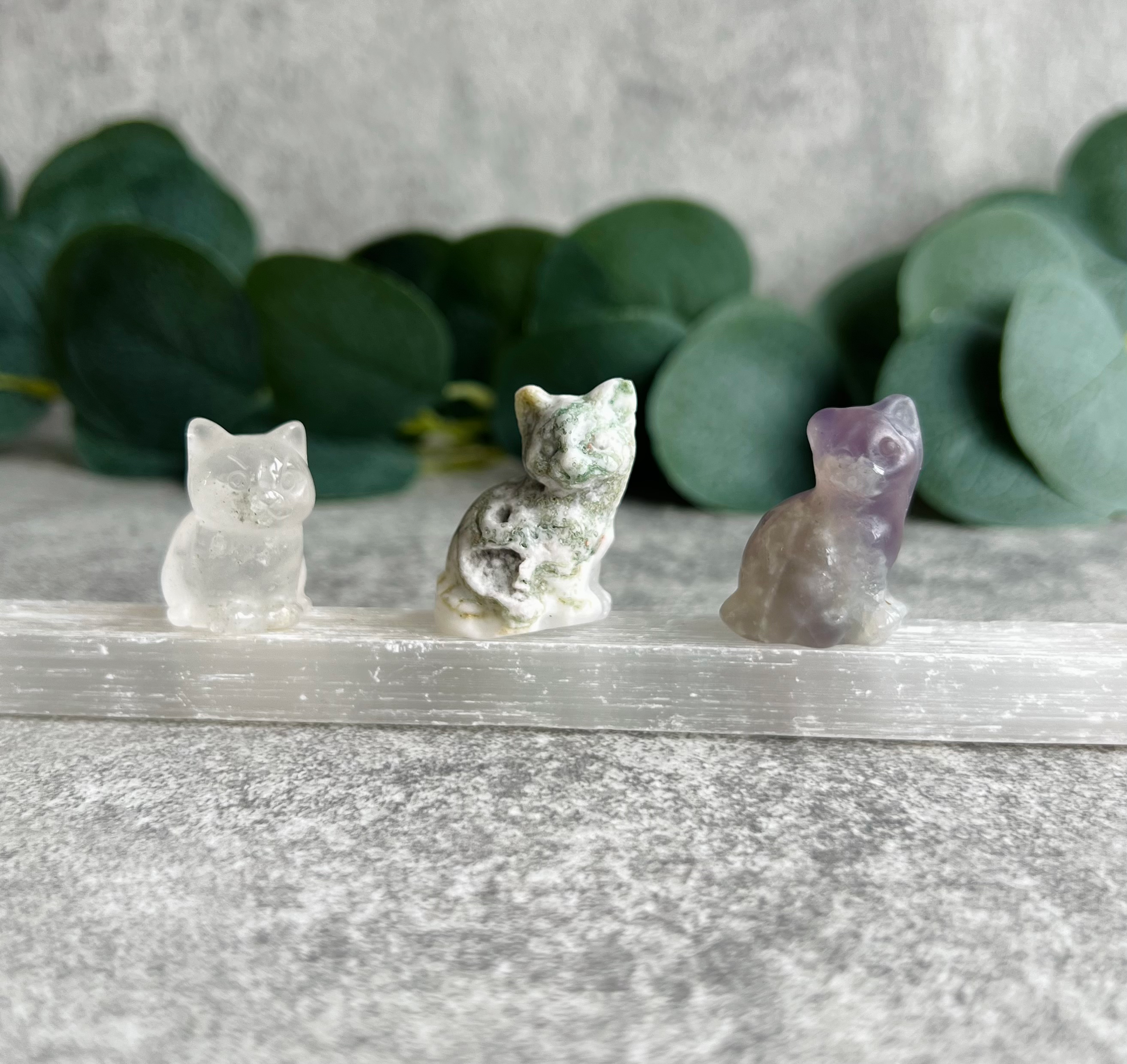 Crystal Mini Cat