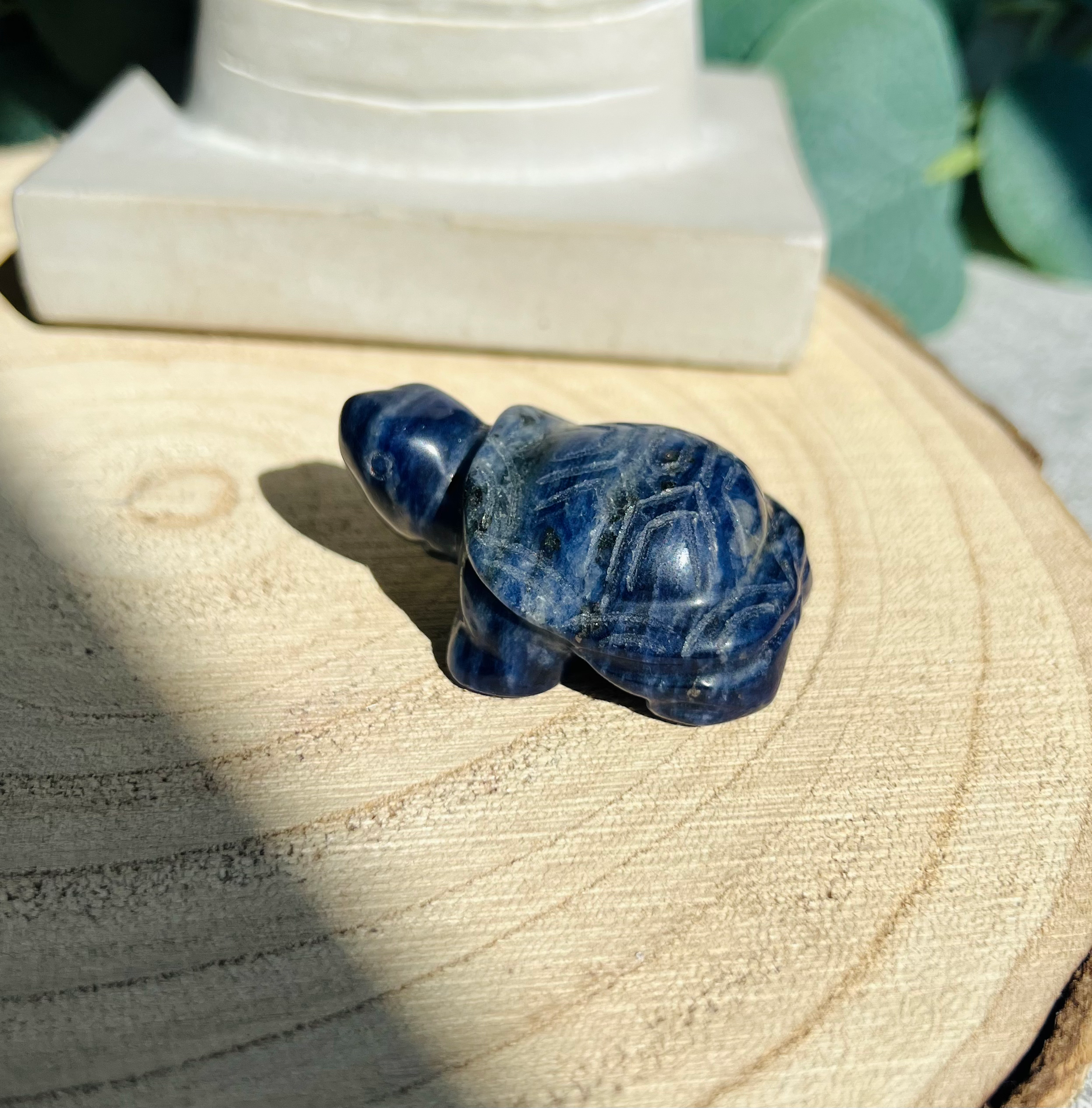 Sodalite Tortoise