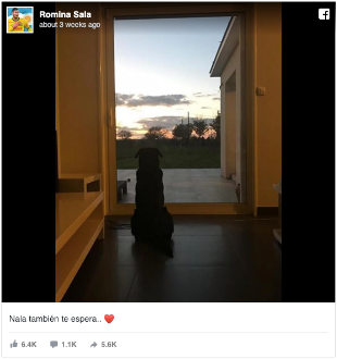 Romina Sala’s devastating FaceBook post.