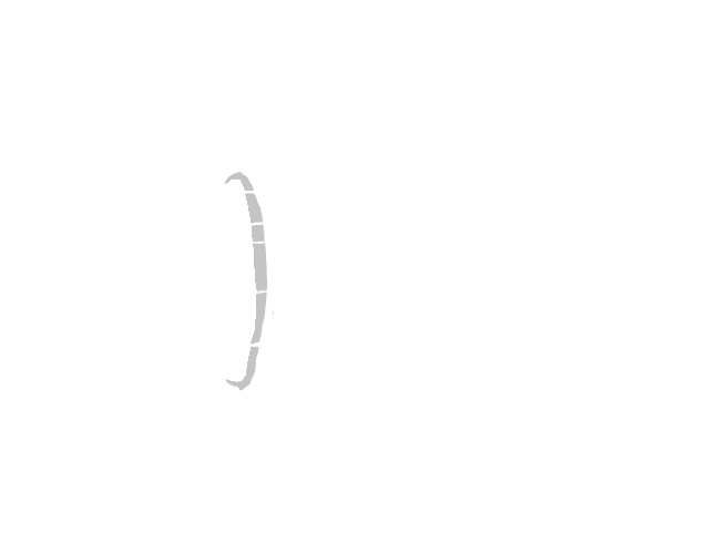 TrainéeDash.gif