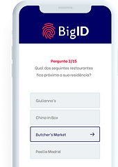 bigid-questionario.png