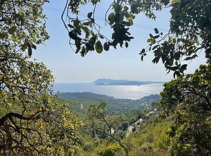 Vue sur l'île de Portquerolles