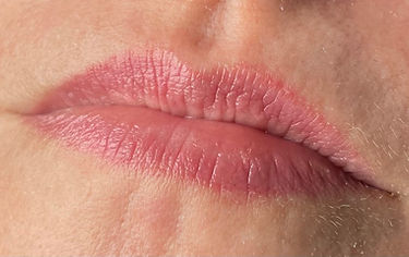 1 year + healed lip blush before touch up