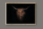Miniaturbild: Highland Cattle