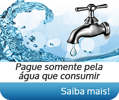 Eliminador de ar Dolphin Rio