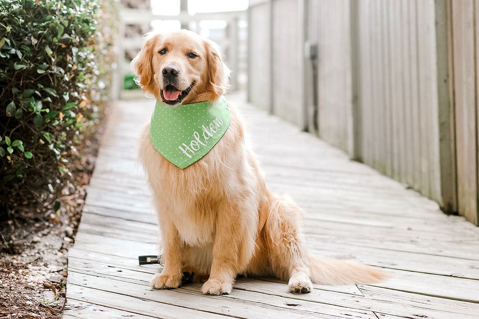 Thumbnail: Green Polka Dots Bandana