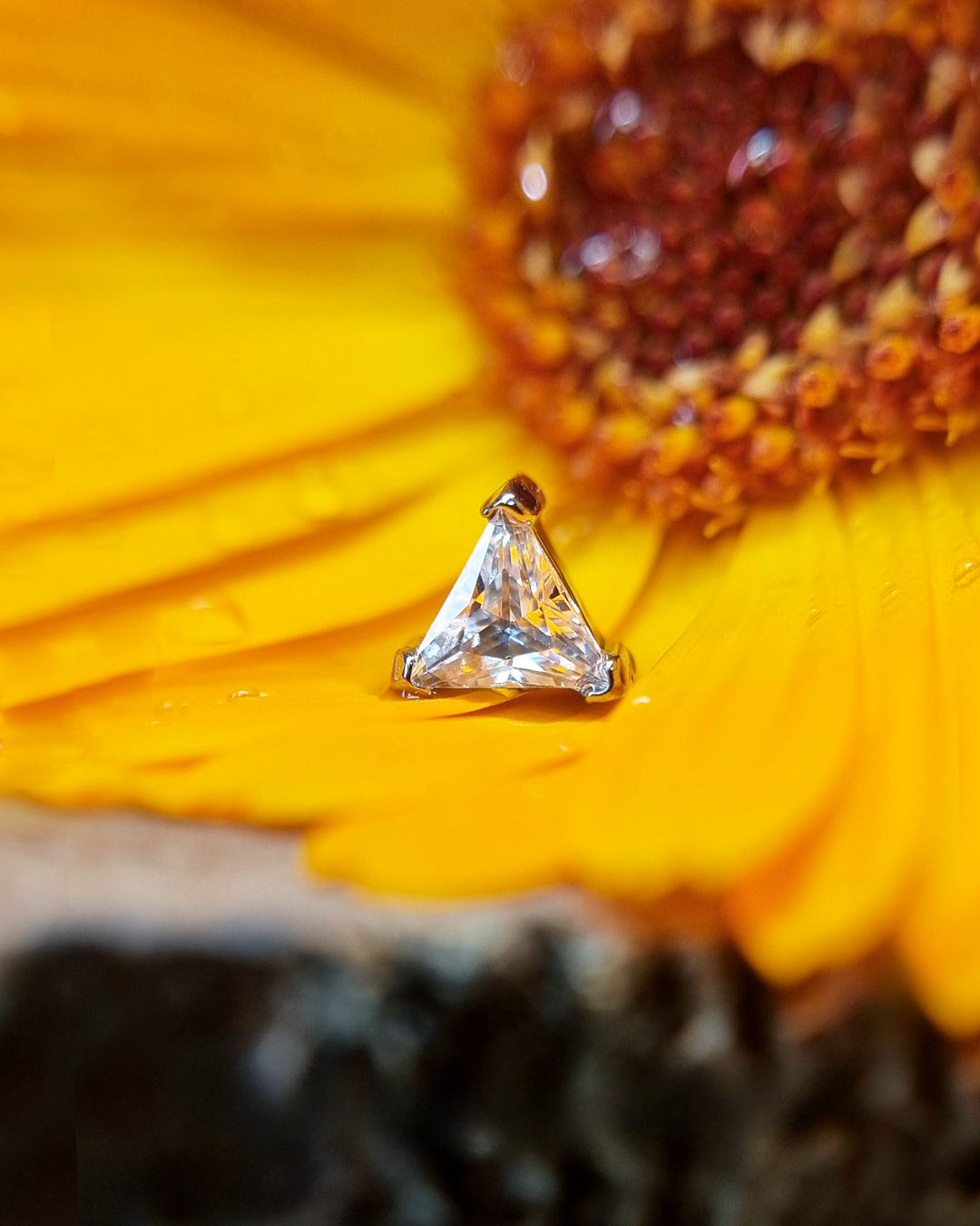 Top Prong Set Triangulo