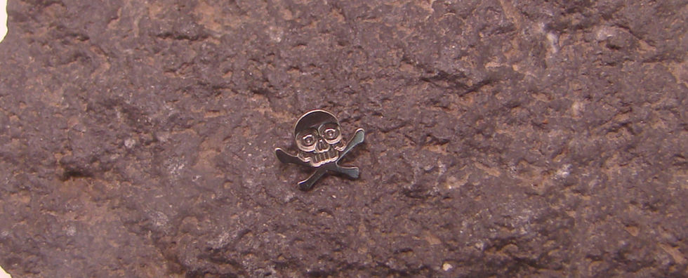 Miniatura:  Top Skull