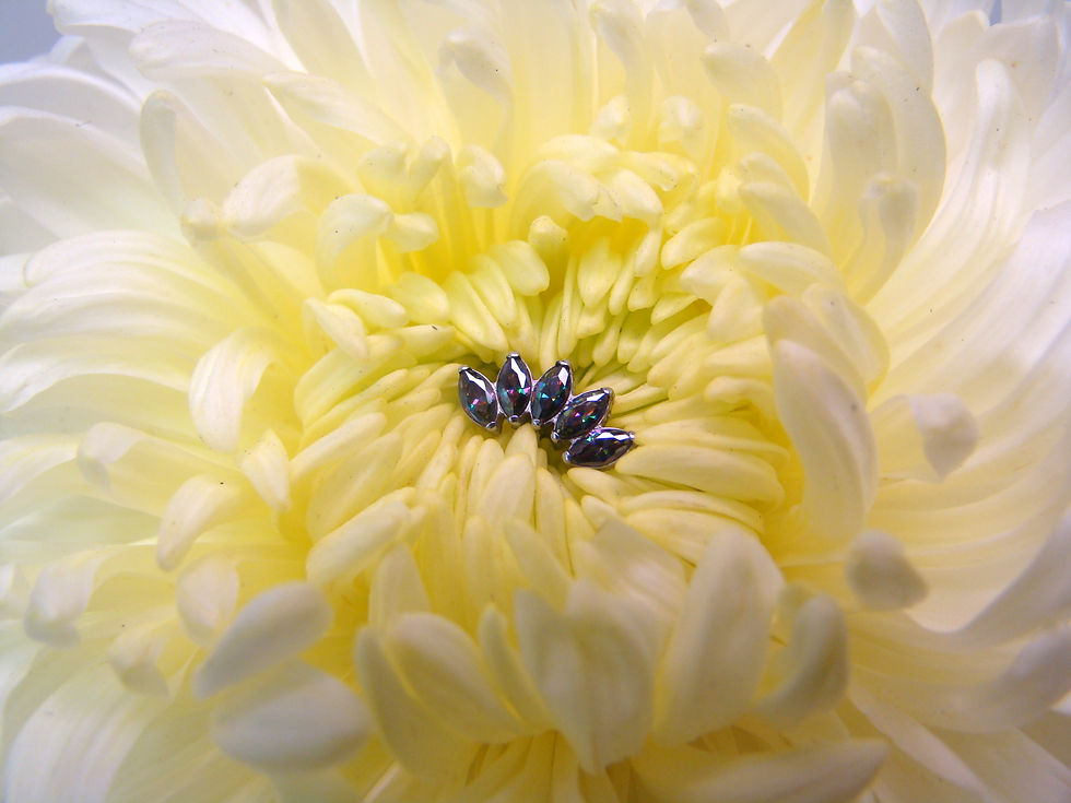 Miniatura:  Top 5 Marquise Facetado Vitro