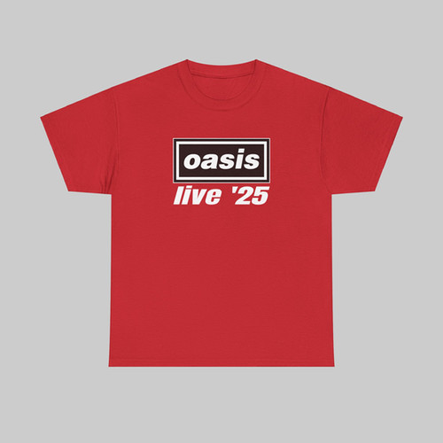 oasis live '25 Tシャツ Lサイズ Oasis Live '25 T-Shirt | Funny Fashion