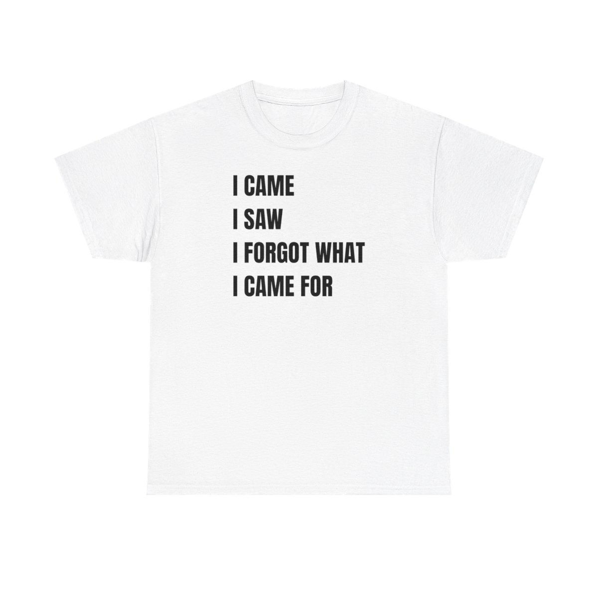 I Came, I Saw, I Forgot What I Came For T-Shirt