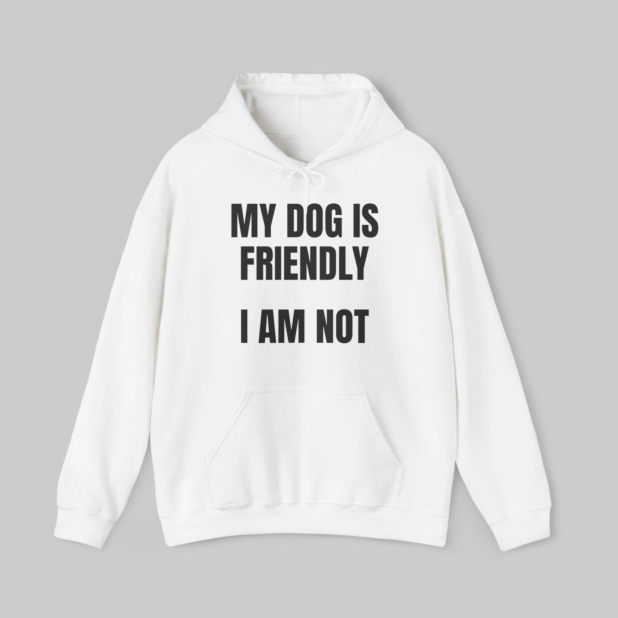 My Dog is Friendly...I am Not Hoodie