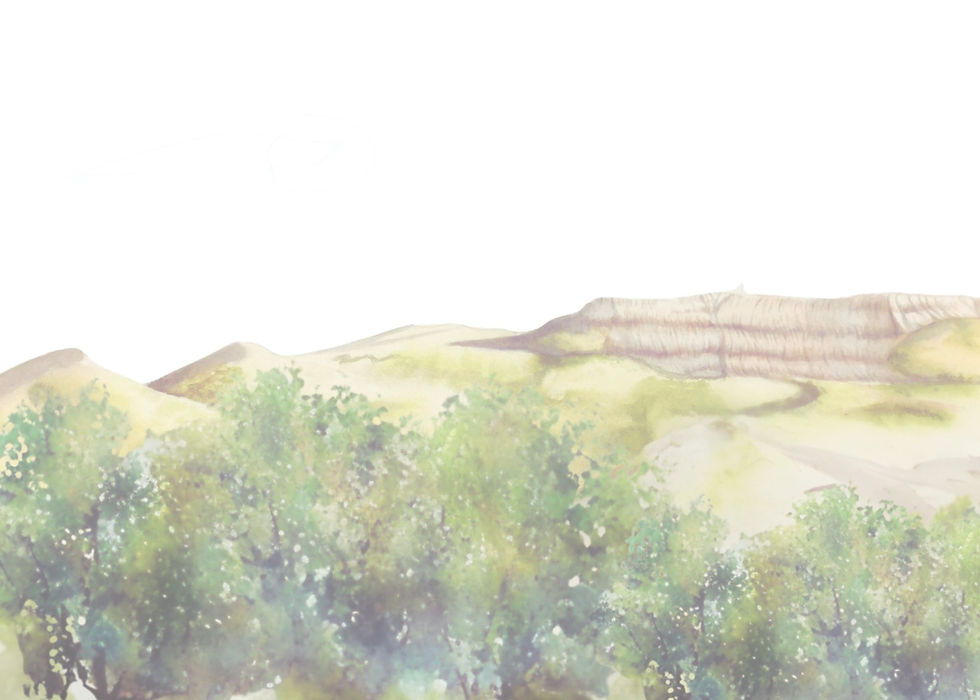 wedding invite back ground .jpg