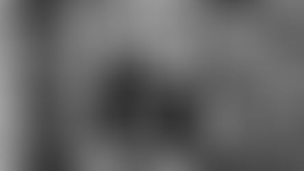 Artist Interview: Nicole Trimmer