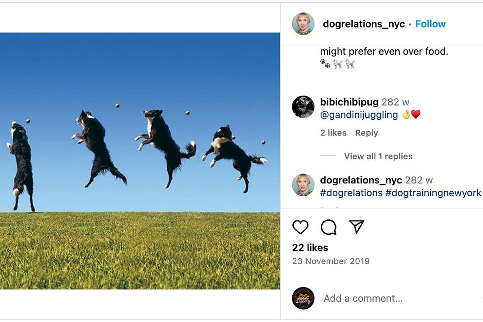 Use Hashtags Wisely