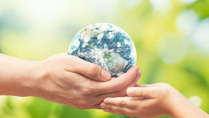 6 Social Media Post Ideas for World Environment Day 2026