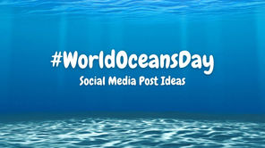 7 Top Social Media Tips for Celebrating World Oceans Day 2026