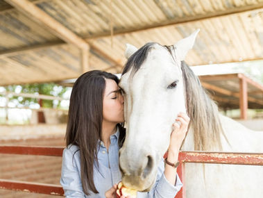 7 Quick Social Media Tips to Boost Your Equine Care & Horse Boarding Business